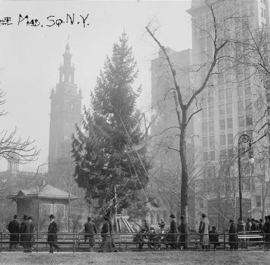 untappedcitieS_annabrown_madisonsquare_christmastree-640x628